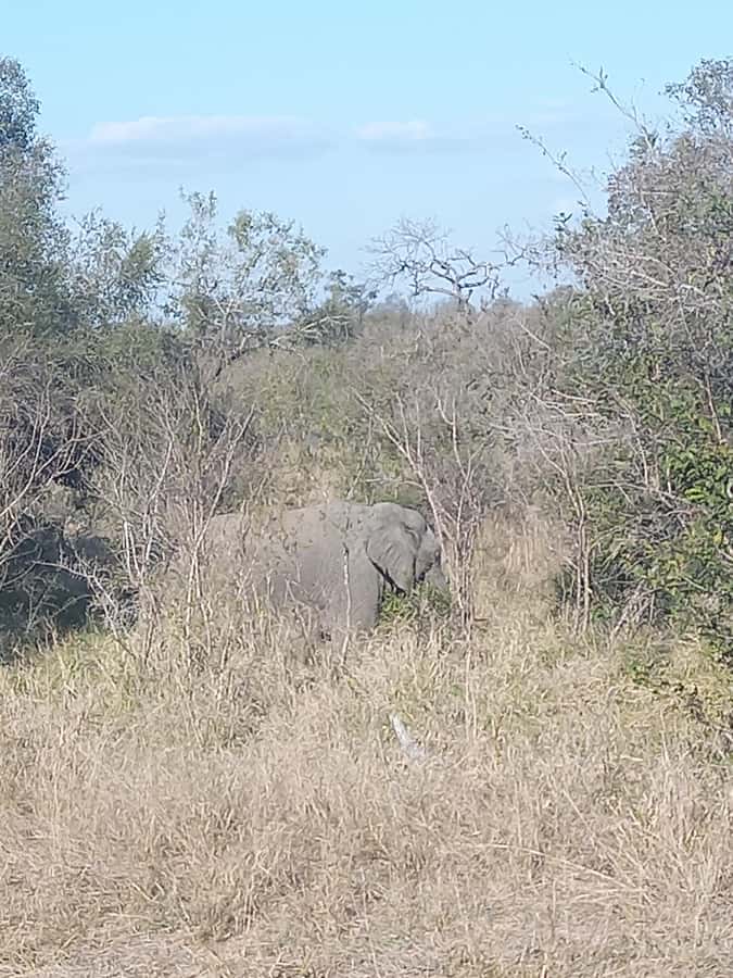 Pilanesberg National Park - Useful planning advice for the day