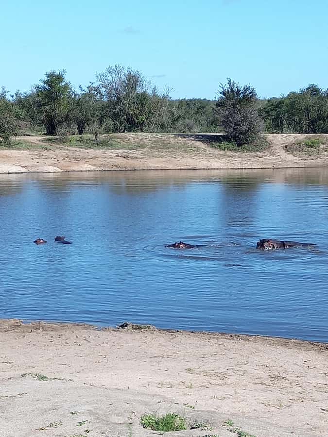 Pilanesberg National Park - The lunch break and its effect on the day