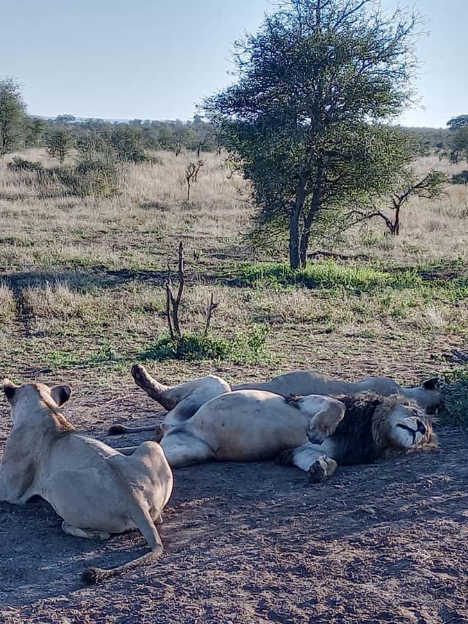 Pilanesberg National Park - Leaving the park and returning to Gauteng