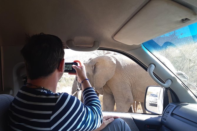Pilanesberg National Park Day Tour from Pretoria, every SATURDAY - What the $136.47 price really covers