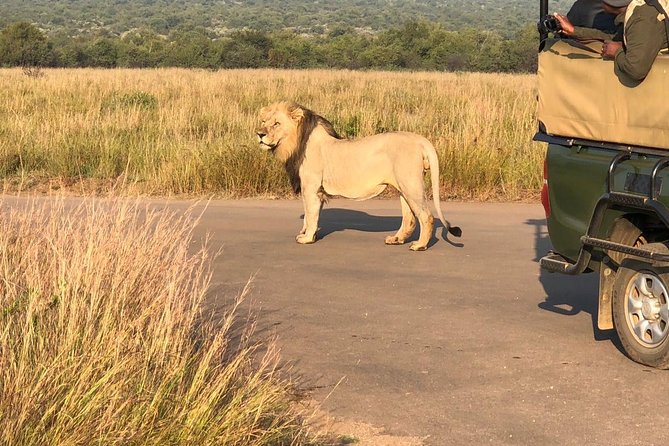 Pilanesberg National Park Full Day Safari From Johannesburg - Three hours inside Pilanesberg National Park