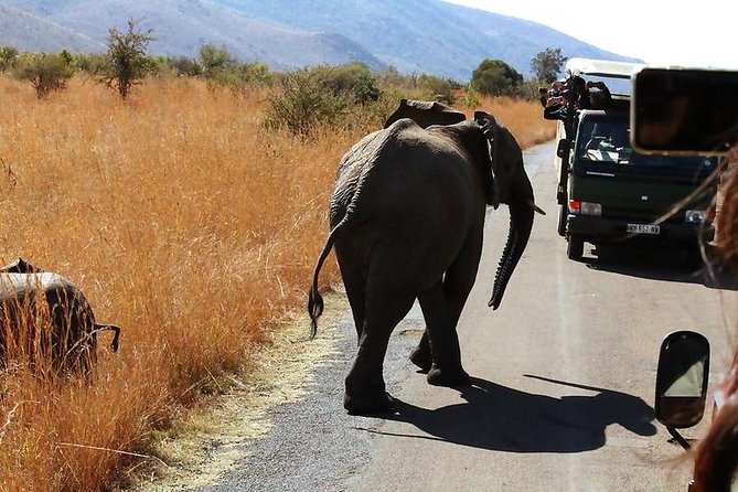 Pilanesberg National Park Full Day Safari From Johannesburg - Practical ways to make the day better
