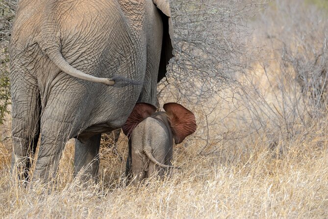 Pilanesberg National Park Safari in Open Vehicle from Johannesburg - What three hours in the safari vehicle feels like
