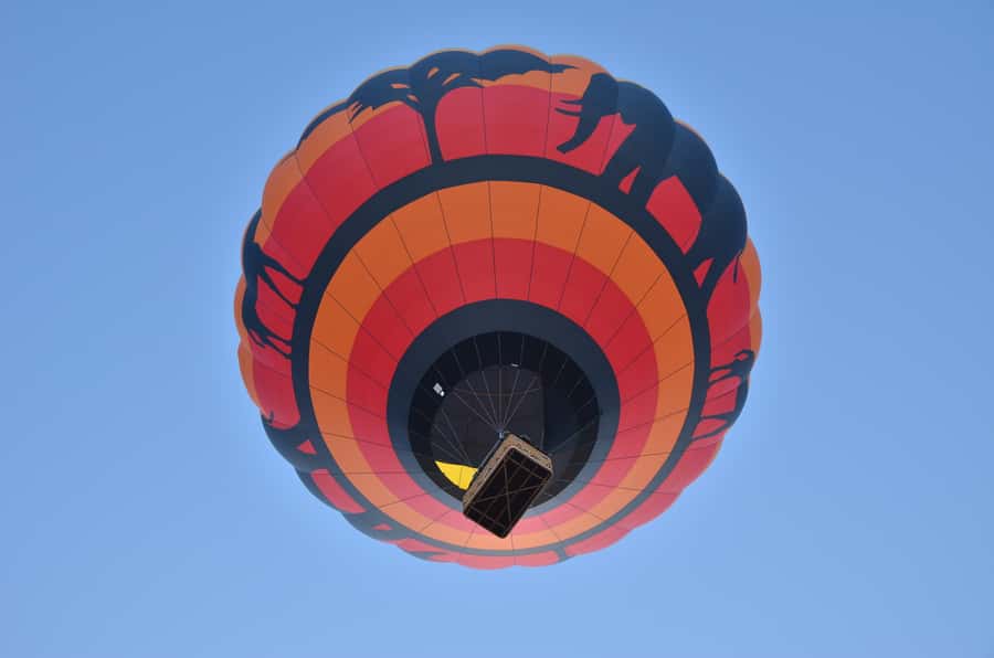 Pilanesberg National Park/Sun City Hot Air Balloon Safari - Watching the balloon come alive