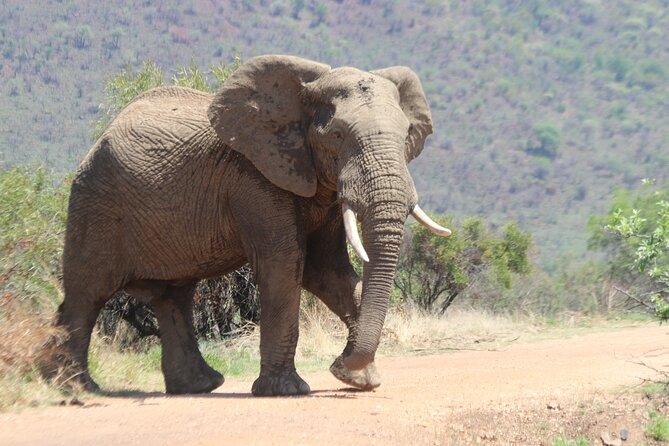 Pilanesberg Nature Reserve - The 06h00 pickup and road to the reserve