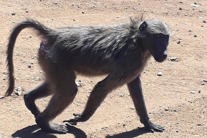 Pilanesberg Safari Fullday - Entering a park shaped by ancient volcanoes