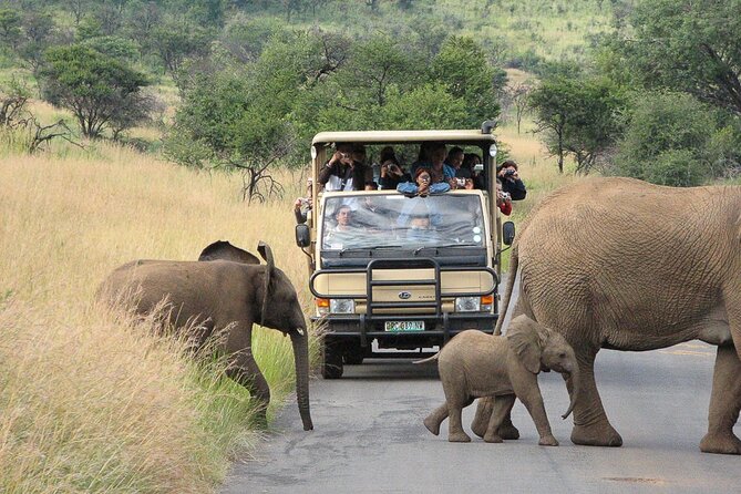 Pilanesberg Safari Open vehicle game Full Day - Entering Pilanesberg National Park
