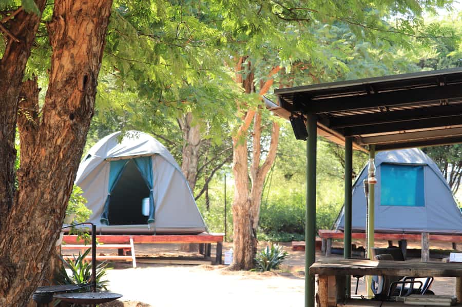 Pilanesberg: Two-Day Camping Adventure from Johannesburg - Key points to know before you book