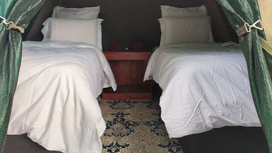 Pilanesberg: Two-Day Camping Adventure from Johannesburg - Why Pilanesberg works for a short safari