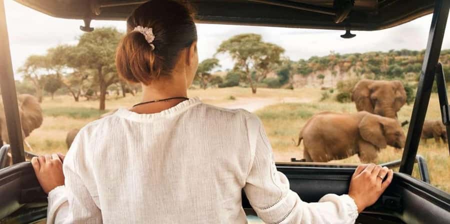 Pilanesberg: Two-Day Camping Adventure from Johannesburg - The first three-hour drive through Pilanesberg
