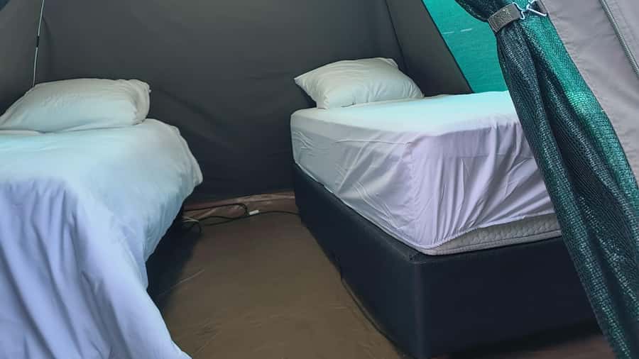 Pilanesberg: Two-Day Camping Adventure from Johannesburg - The sunset safari from 4:00 to 7:00 PM