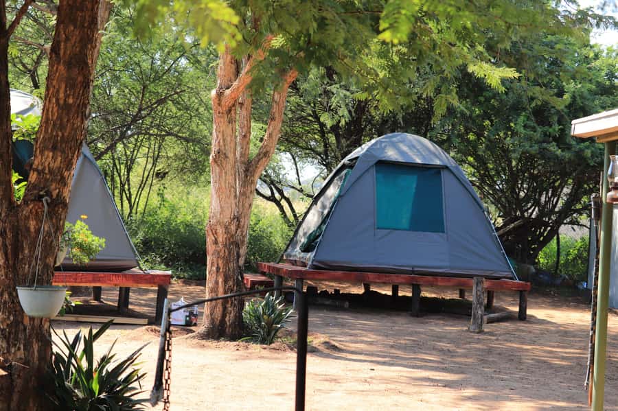 Pilanesberg: Two-Day Camping Adventure from Johannesburg - The return to Johannesburg and airport timing
