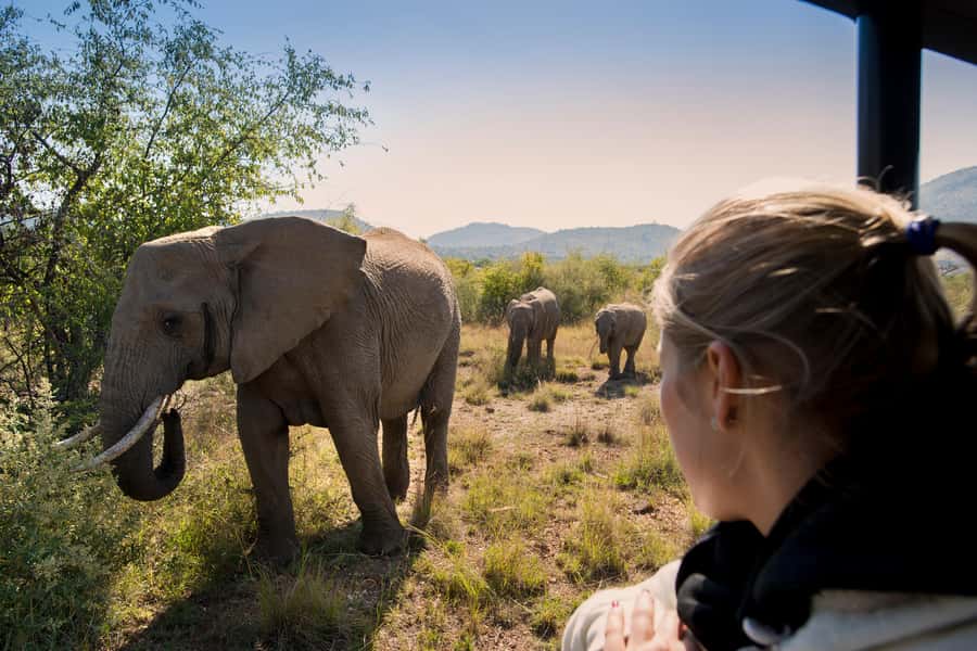 Pilanesberg: Two-Day Camping Adventure from Johannesburg - The early Johannesburg pickup and drive north
