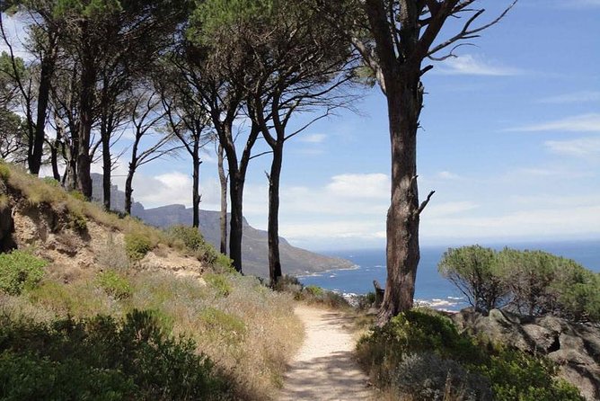 Pipetrack Hike for the whole family on Table Mountain - PRIVATE - Key points at a glance