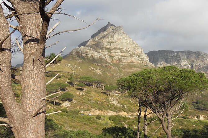 Pipetrack Hike for the whole family on Table Mountain - PRIVATE - How the private format changes the walk