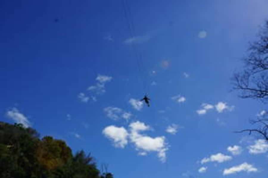 Plettenberg: 2-Hour Zipline Tour - Practical booking advice