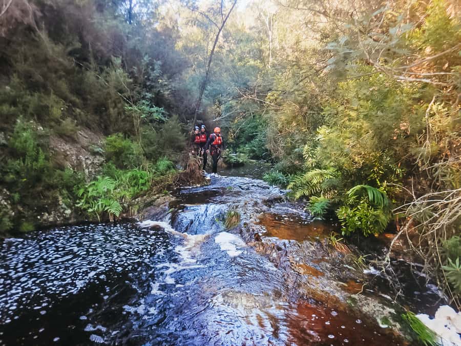 Plettenberg Bay: Canyoning Trip - Key points to know before you book
