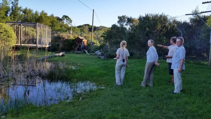 Plettenberg Bay: Cats in Conservation Full Day Tour - A working day at Tenikwa, not a standard animal encounter