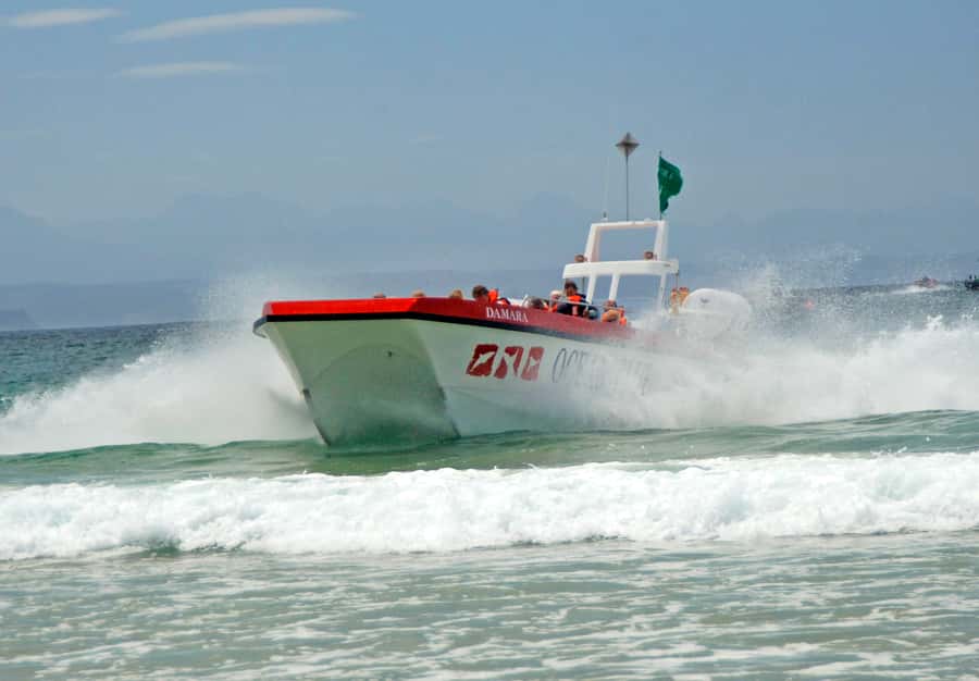 Plettenberg Bay: Dolphin and Marine Boat Tour - Starting at Ocean Blue Adventures in Plettenberg Bay