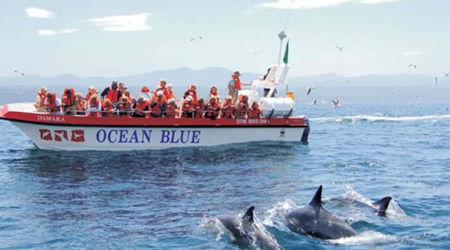 Plettenberg Bay: Dolphin and Marine Boat Tour - Following Keurbooms Beach toward Arch Rock