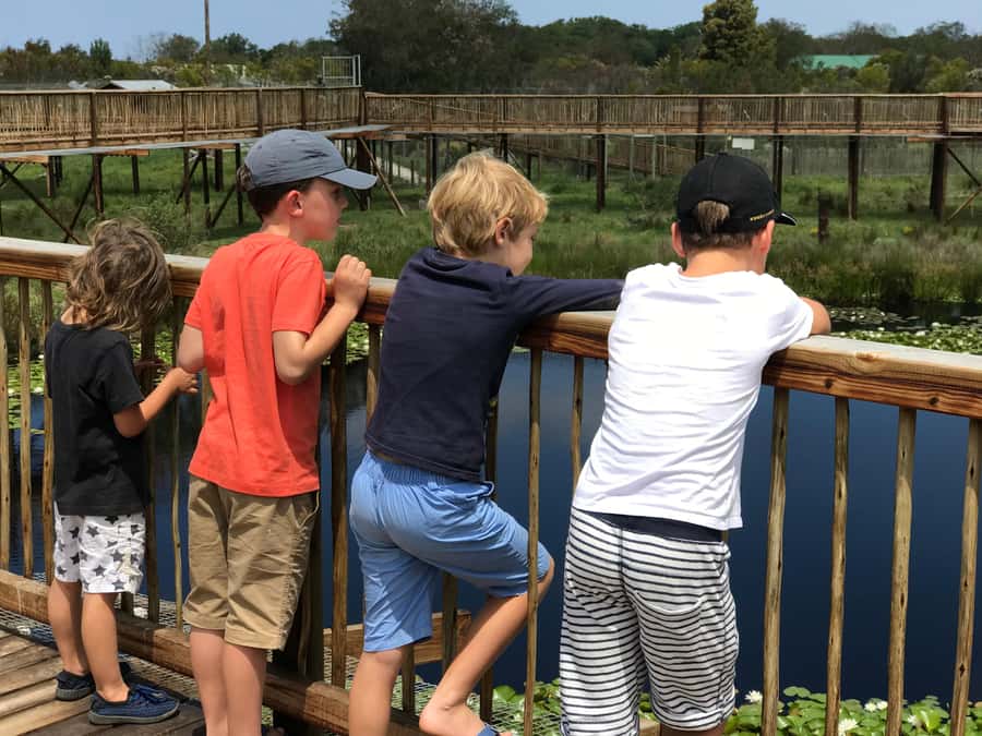 Plettenberg Bay: EcoKidz Family Wildlife Tour - Key things to know before you go