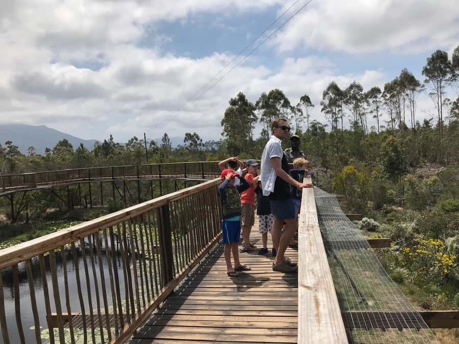 Plettenberg Bay: EcoKidz Family Wildlife Tour - Meeting Tenikwa’s wild cats in Plettenberg Bay