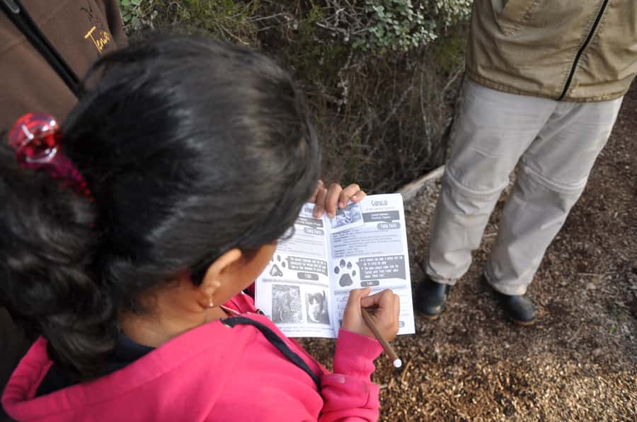 Plettenberg Bay: EcoKidz Family Wildlife Tour - Is $28 per person good value?