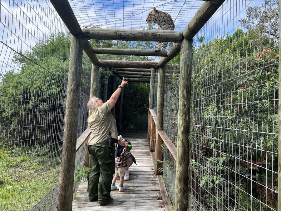 Plettenberg Bay: EcoKidz Family Wildlife Tour - Why the EcoKidz format works