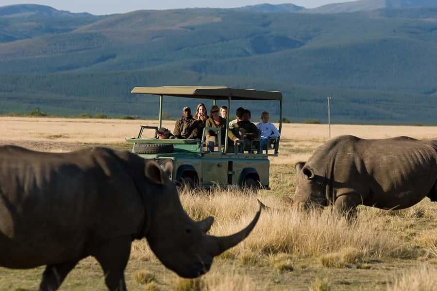 Plettenberg Bay Game Reserve: 2-Hour Game Drive - Rhinos, giraffes, hippos, and crocodiles