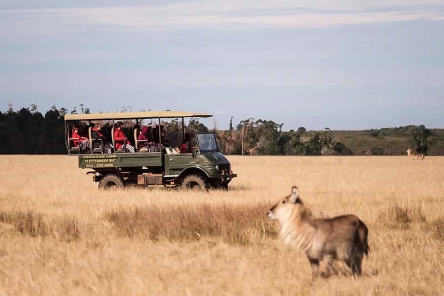 Plettenberg Bay Game Reserve: 2-Hour Game Drive - Two hours on the reserve roads