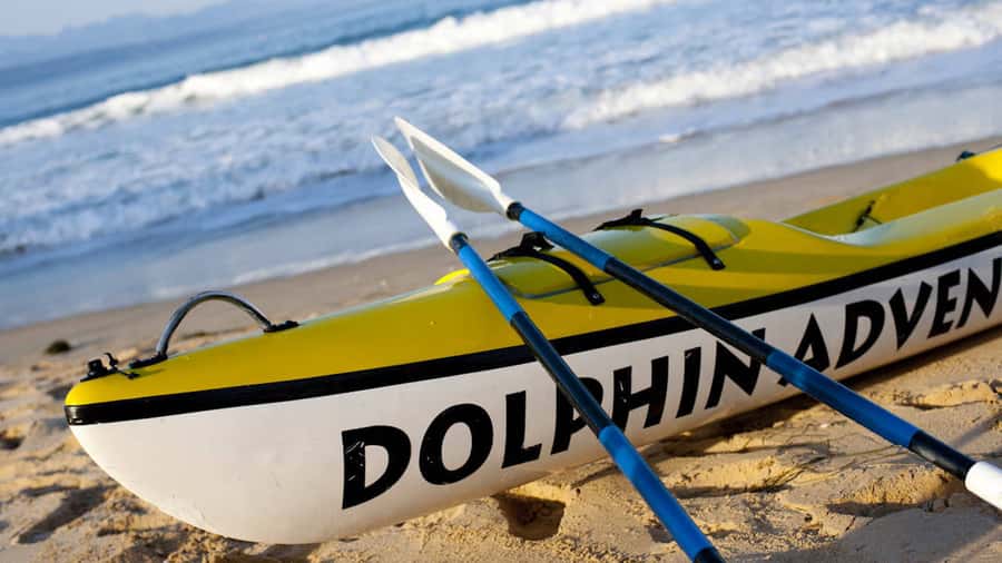 Plettenberg Bay: Guided Sea Kayak Tour - Wildlife That Rewards Patience