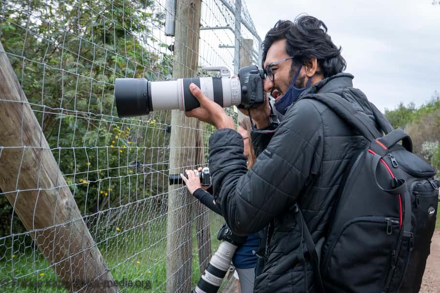 Plettenberg Bay: Private Guided Wildlife Photography Tour - Who will get the most from this tour?