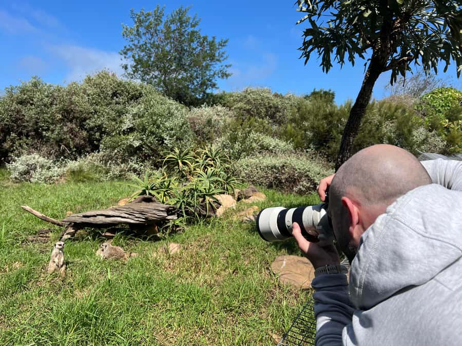 Plettenberg Bay: Private Guided Wildlife Photography Tour - The Meerkat Meander and Tenikwa’s purpose