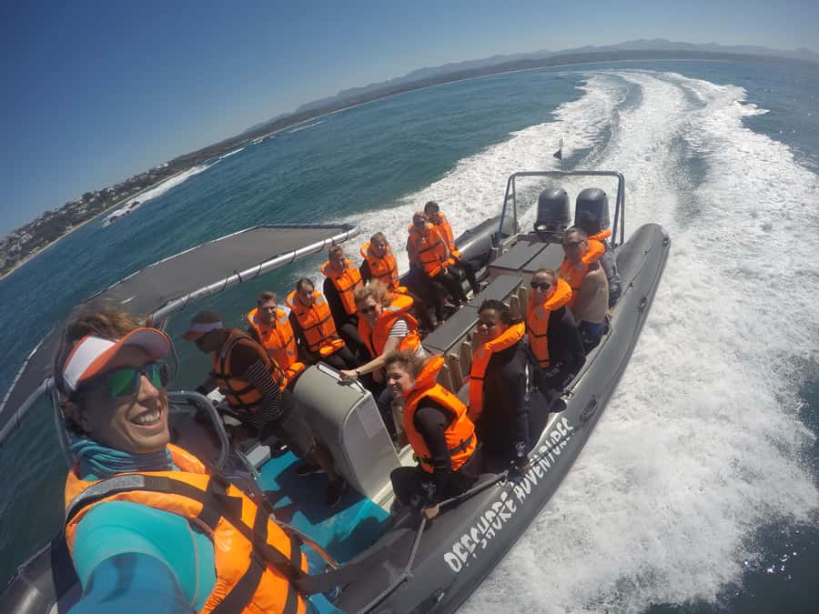 Plettenberg Bay: Seal Colony Viewing Excursion - Who Will Enjoy This Trip Most