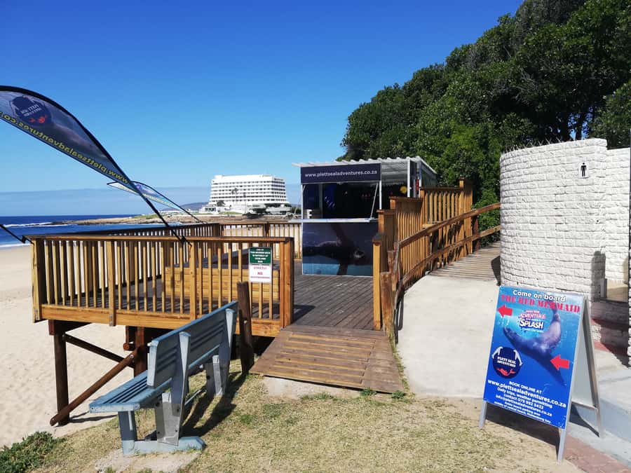 Plettenberg Bay: Seal Swimming Experience - Key points at a glance