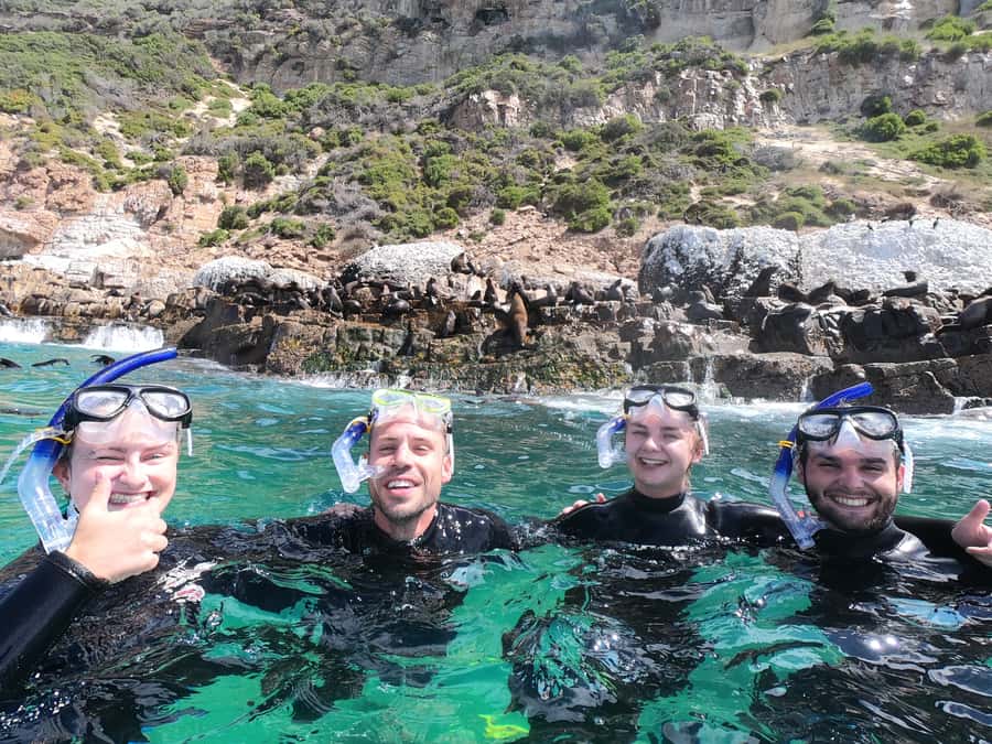 Plettenberg Bay: Seal Swimming Experience - Twenty to twenty-five minutes in the water