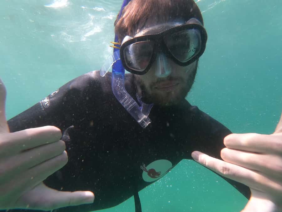 Plettenberg Bay: Seal Swimming Experience - Who should book this seal swim?
