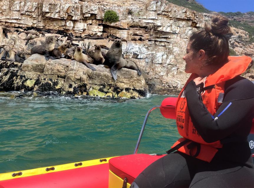 Plettenberg Bay: Seal Viewing Boat Trip - Meeting the boat at Beacon Island Hotel