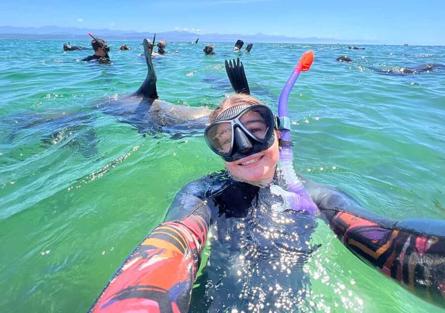 Plettenberg Bay: Seal Viewing Boat Trip - What the guide adds to the outing