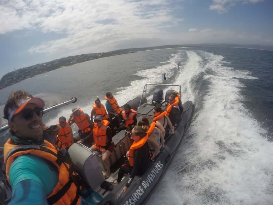 Plettenberg Bay: Swim with Seals - The final call: book or skip?