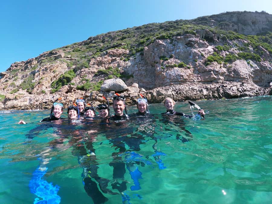 Plettenberg Bay: Swim with Seals - Meeting Offshore Adventures at Central Beach