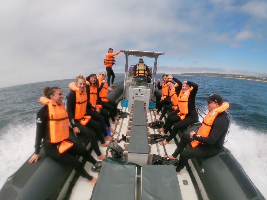 Plettenberg Bay: Swim with Seals - Is $61 good value?