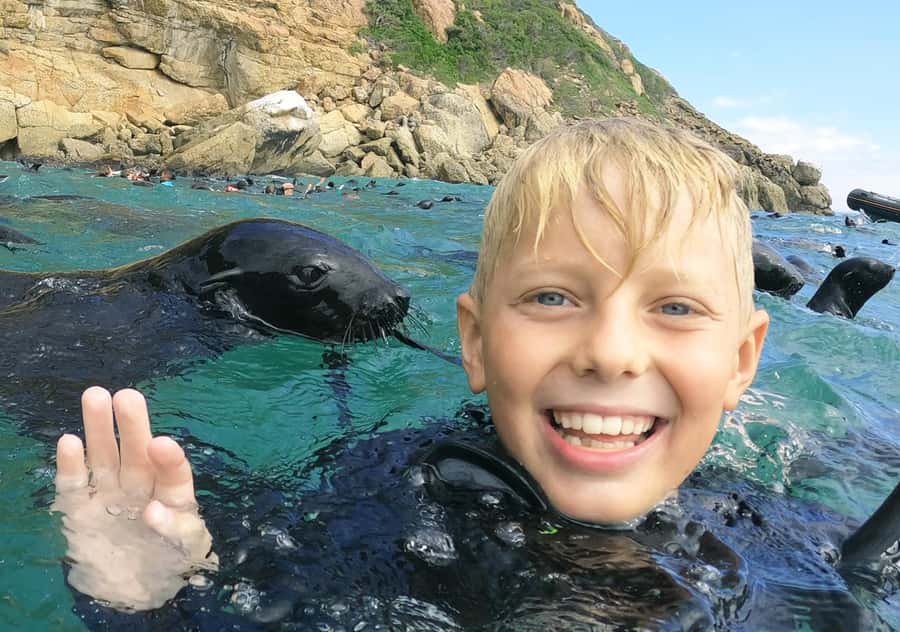 Plettenberg Bay: Swim with the Seals - Key points to know before you book