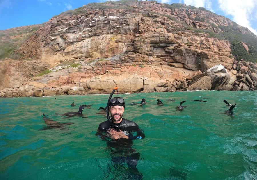 Plettenberg Bay: Swim with the Seals - Who will enjoy this most