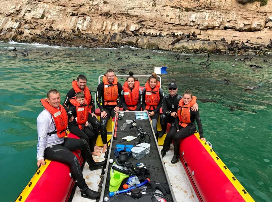 Plettenberg Bay: Swim with the Seals - Thirty minutes beside the Cape Fur Seals