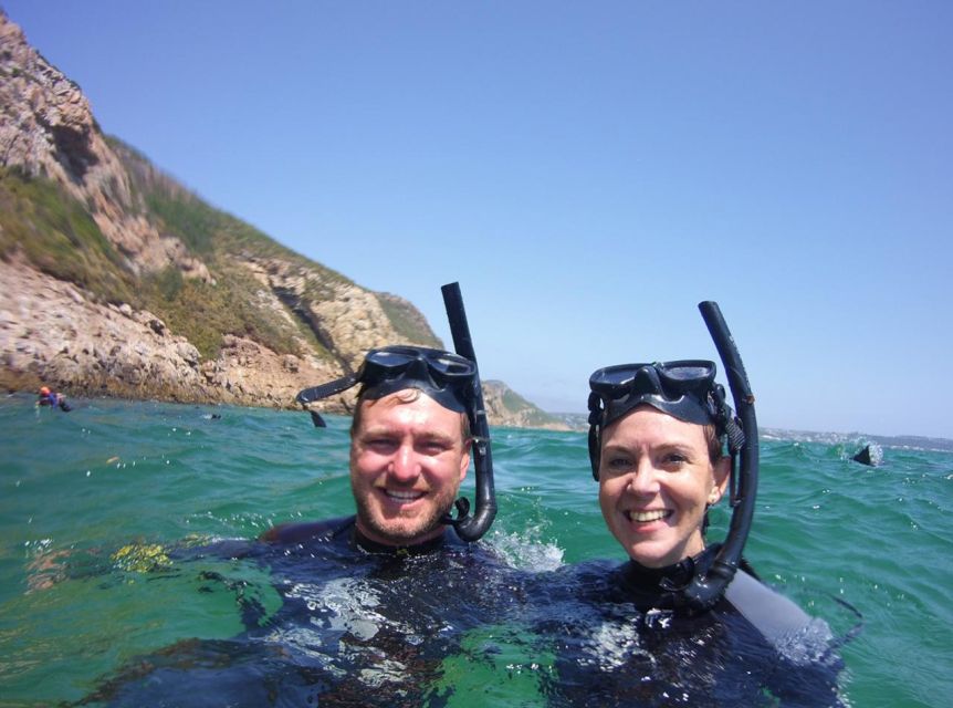 Plettenberg Bay: Swim with the Seals - Safety, supervision, and animal manners