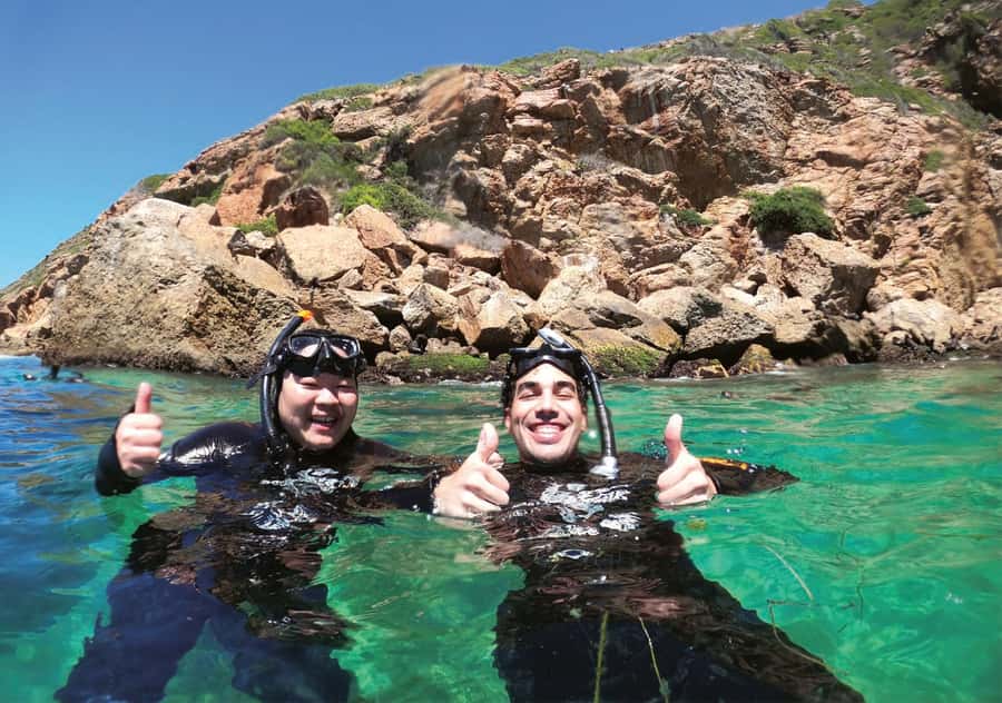 Plettenberg Bay: Swim with the Seals - What the facilities add afterward