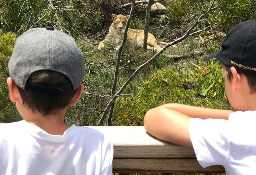 Plettenberg Bay: Wild Cat and Wildlife Guided Tour - Why the guides make the difference