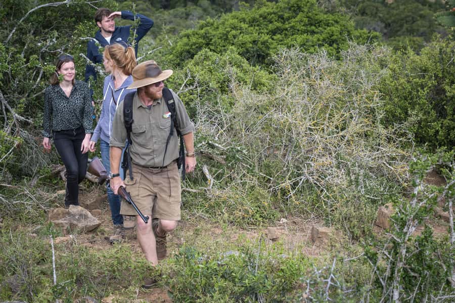 Port Elizabeth: 2-Day Addo Elephant Park Safari - Is $597 a fair price?