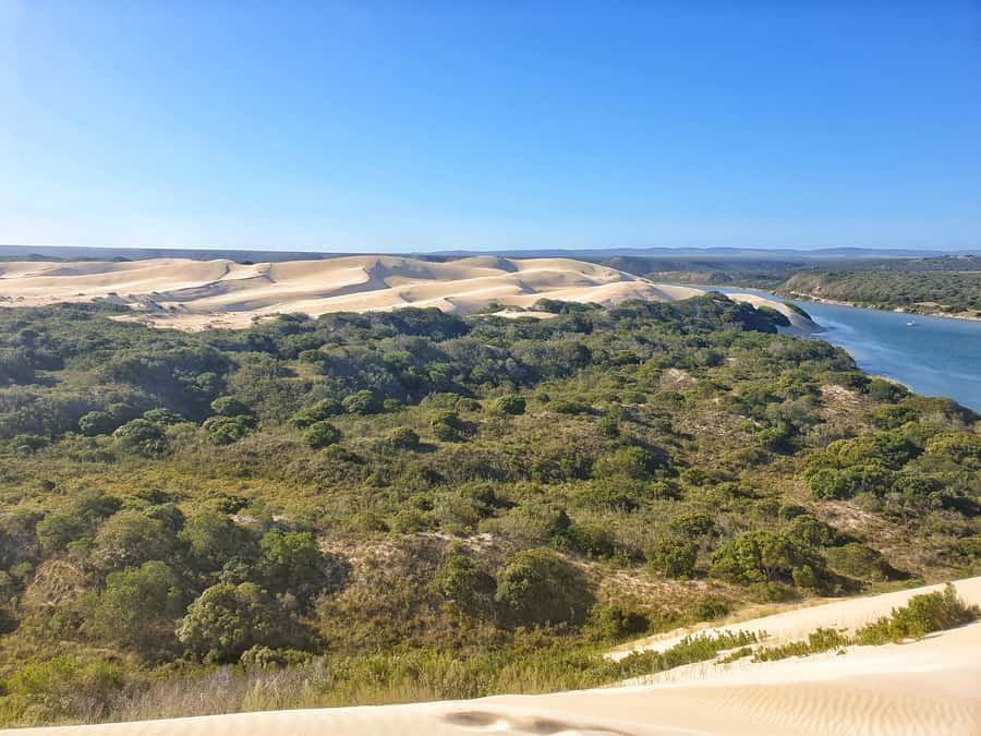 Port Elizabeth: 2-Day Addo Elephant Park Safari - The Big 5, and the more unusual Big 7